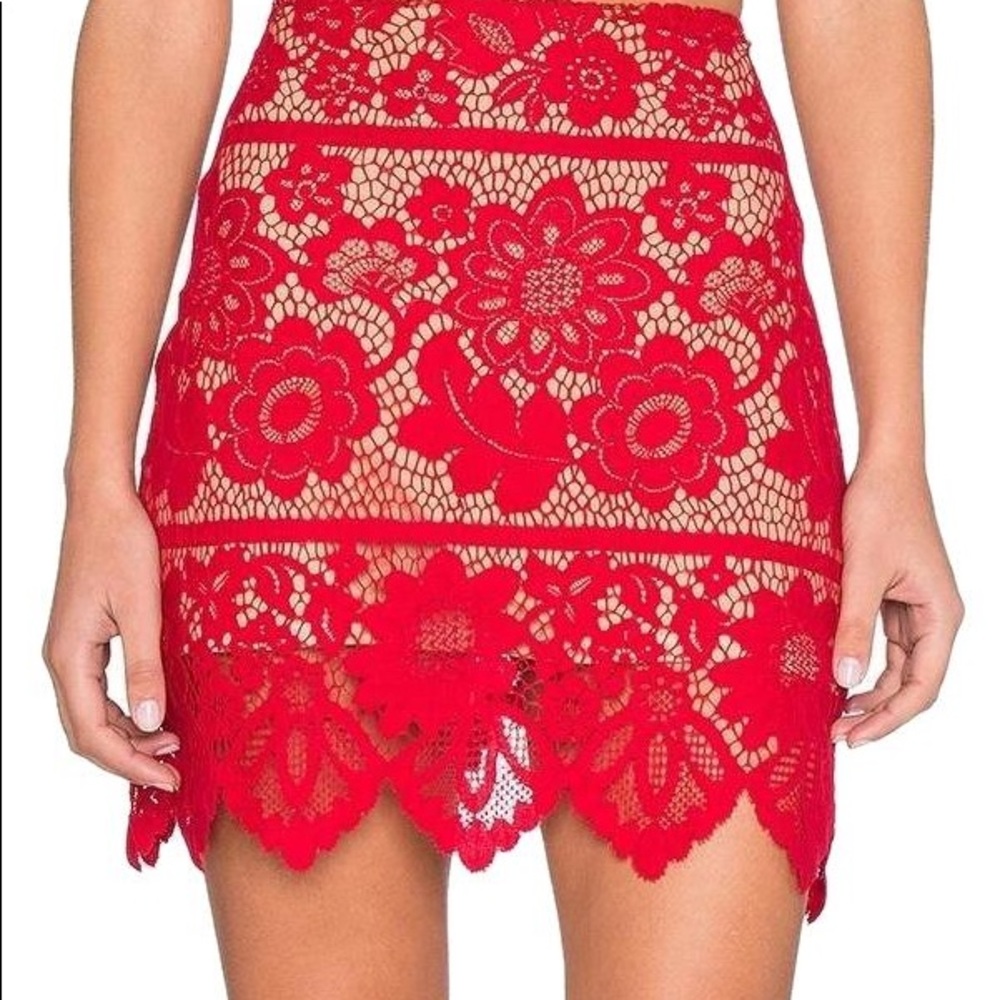 For Love and Lemons skirt